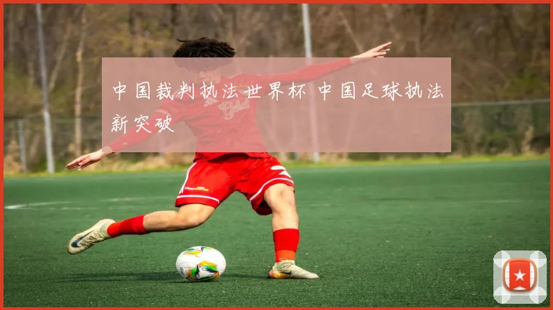 中国裁判执法世界杯 中国足球执法新突破