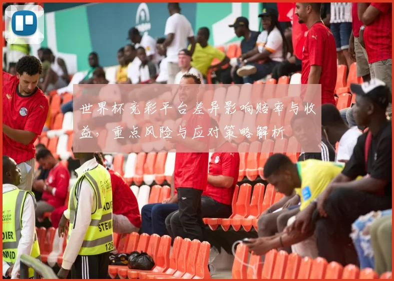 世界杯竞彩平台差异影响赔率与收益，重点风险与应对策略解析