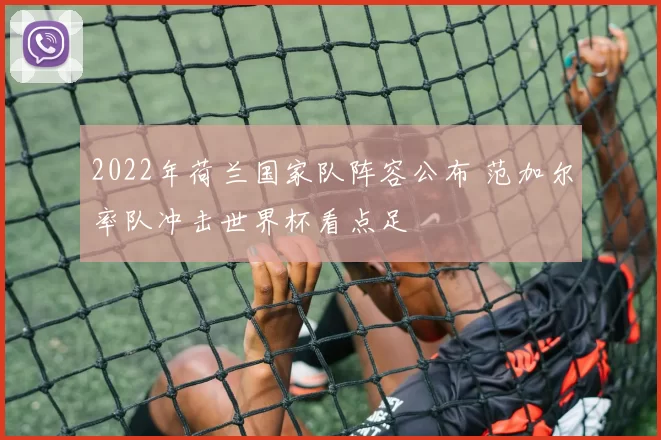 2022年荷兰国家队阵容公布 范加尔率队冲击世界杯看点足