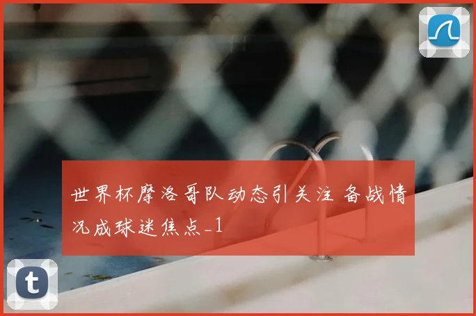 世界杯摩洛哥队动态引关注 备战情况成球迷焦点_1
