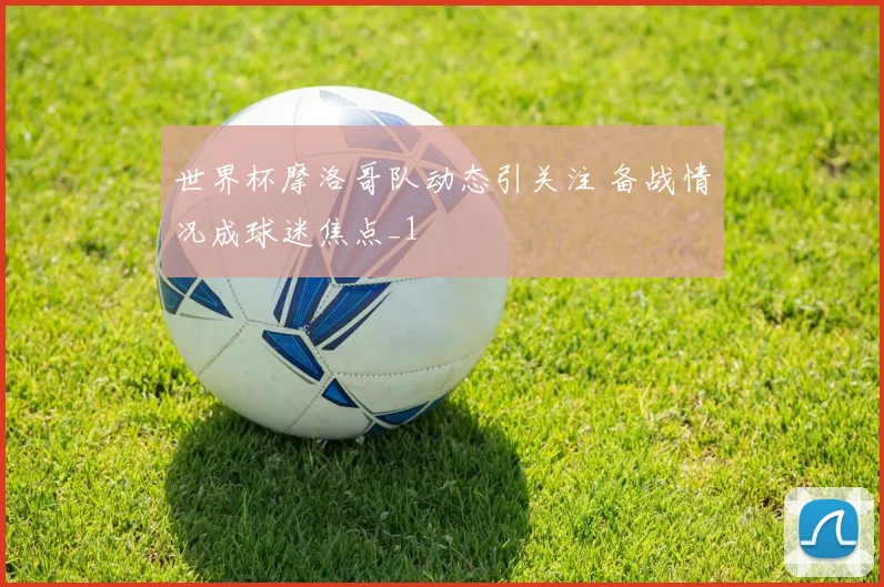 世界杯摩洛哥队动态引关注 备战情况成球迷焦点_1