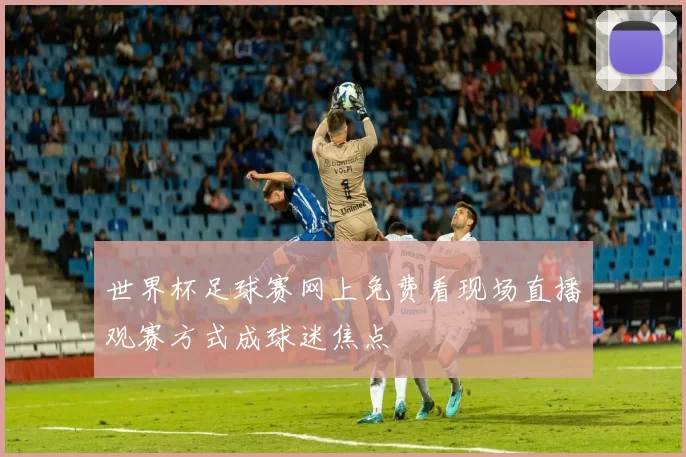 世界杯足球赛网上免费看现场直播观赛方式成球迷焦点