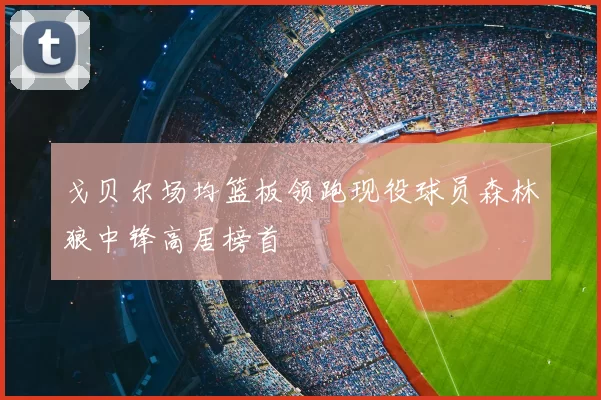 戈贝尔场均篮板领跑现役球员森林狼中锋高居榜首