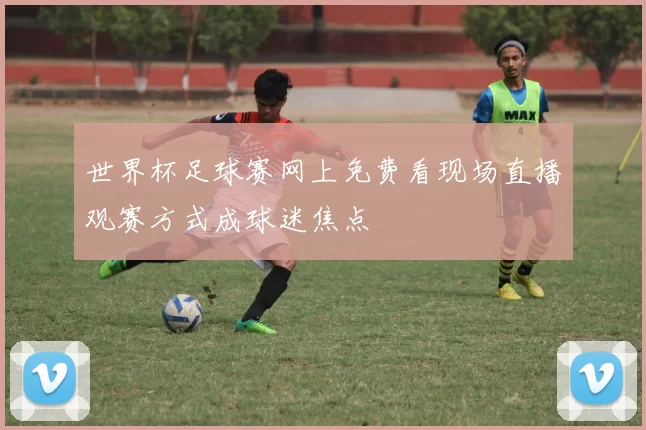 世界杯足球赛网上免费看现场直播观赛方式成球迷焦点