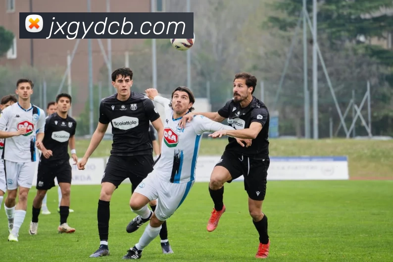 Bsports官方网站登录入口品牌故事