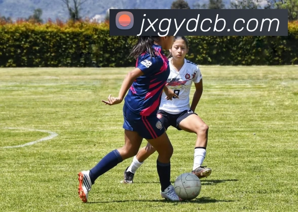 Bsports官方网站登录入口服务体系