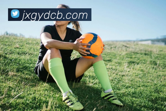 mksports在线登录APP 封面图